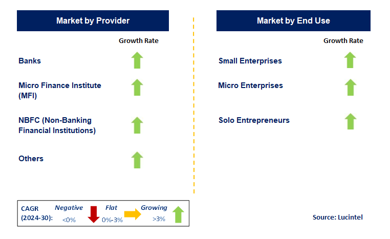 Microfinance by Segment